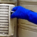 La investigación de 20 años que quedó arruinada por un empleado de limpieza que desconectó un refrigerador
