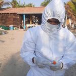 México descarta que muerte de aves en el Pacífico sean por gripe aviar y por qué las relaciona con el fenómeno El Niño