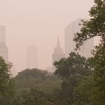 “Empezamos a sufrir malestares de garganta”: el relato de guatemaltecos en EE. UU. que cuentan cómo son afectados por los incendios forestales en Canadá