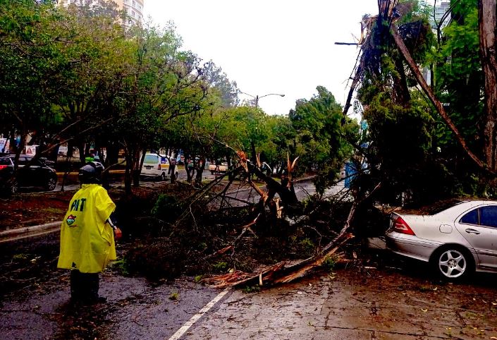 Incidentes ocurridos enla capital debido a las lluvias