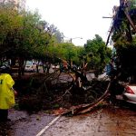 Múltiple accidentes se han reportado en Guatemala a causa de las fuertes lluvias