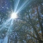 Calor extremo: por qué las temperaturas se han elevado en el mundo y qué pasaría en 5 años