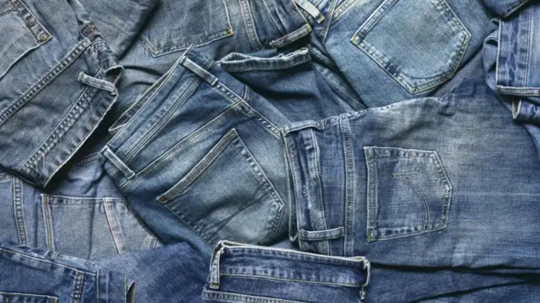 PANTALONES. BBC