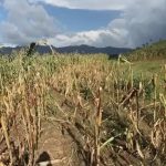Wolrd Vision presenta proyecto que busca impactar a 10 millones de personas del Corredor Seco