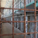 Arrestan a la madre de un niño al que encerró en una jaula de perros (El caso de la mujer que está acusada de tortura y privación de libertad)