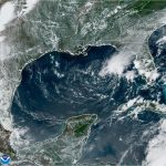 Arlene pierde fuerza en el Golfo de México y se degrada a depresión tropical