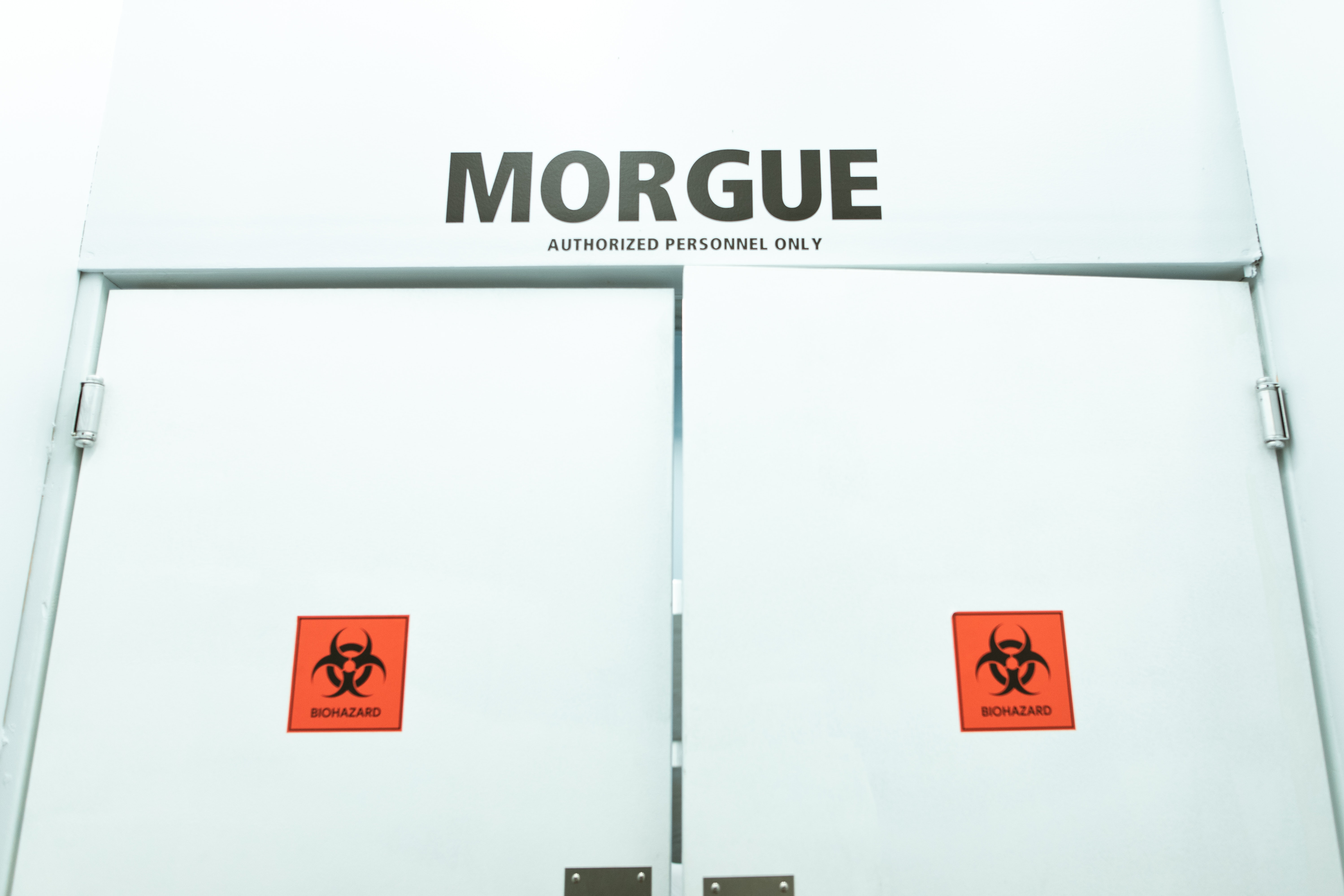 Robó órganos donados para investigación médica: Jefe de la morgue de la universidad de Harvard acusado de vender restos humanos