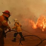“Estamos ante un enorme experimento”: los impactos menos conocidos de los incendios (y cómo pueden cambiar el clima a largo plazo)
