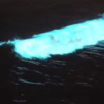 Qué son las ondas bioluminiscentes asociadas con la marea roja y esto las provocan