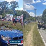 Videos: árbol cae y aplasta un vehículo en bulevar El Naranjo y autoridades informan cuál es el estado del tramo