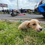 Accidente en Quetzaltenango: Cómo accionó la PNC en seguimiento a la joven que viajaba con un cachorrito y murió arrollada por un camión