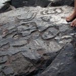 Las intrigantes caras talladas en rocas hace más de 1.000 años que ahora son visibles por la grave sequía del Amazonas
