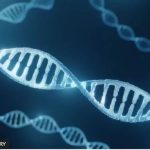 Cómo DeepMind, la inteligencia artificial de Google, está acelerando la identificación de genes que causan enfermedades