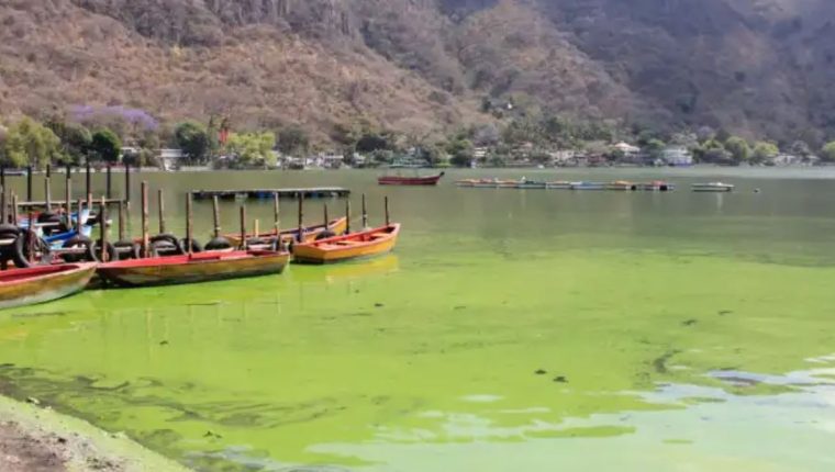 El Lago de Amatitlán se ve afectado por la contaminación. (Foto: Hemeroteca PL) 

