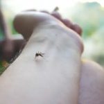 Guatemala suma más de 46 mil casos de dengue y se reportan 48 decesos por la enfermedad