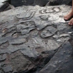 Las intrigantes caras talladas en rocas que quedaron expuestas por la grave sequía en el Amazonas