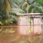 Guatemala suma más de 50 personas fallecidas y 12 desaparecidas en la temporada de lluvias 2023