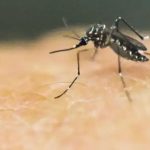 Guatemala supera los 50 mil casos de dengue este 2023 y se reportan 62 pacientes fallecidos