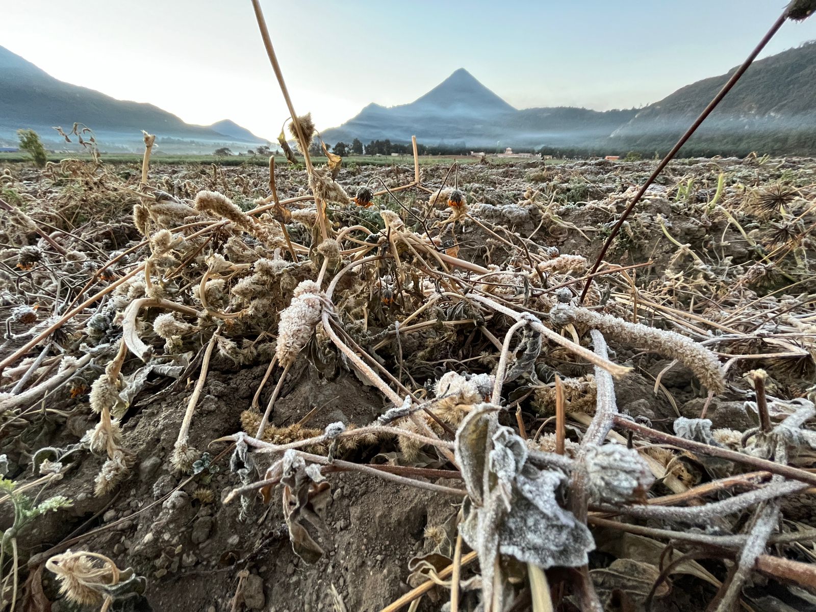Clima en Guatemala: Xela bajo cero y otros puntos del país con escarcha sobre campos y vehículos