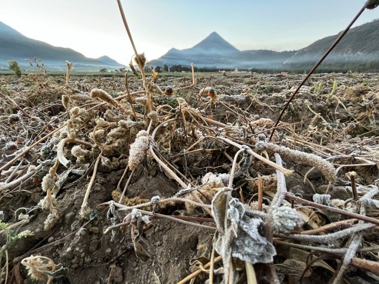 Clima en Guatemala: Xela bajo cero y otros puntos del país con escarcha sobre campos y vehículos