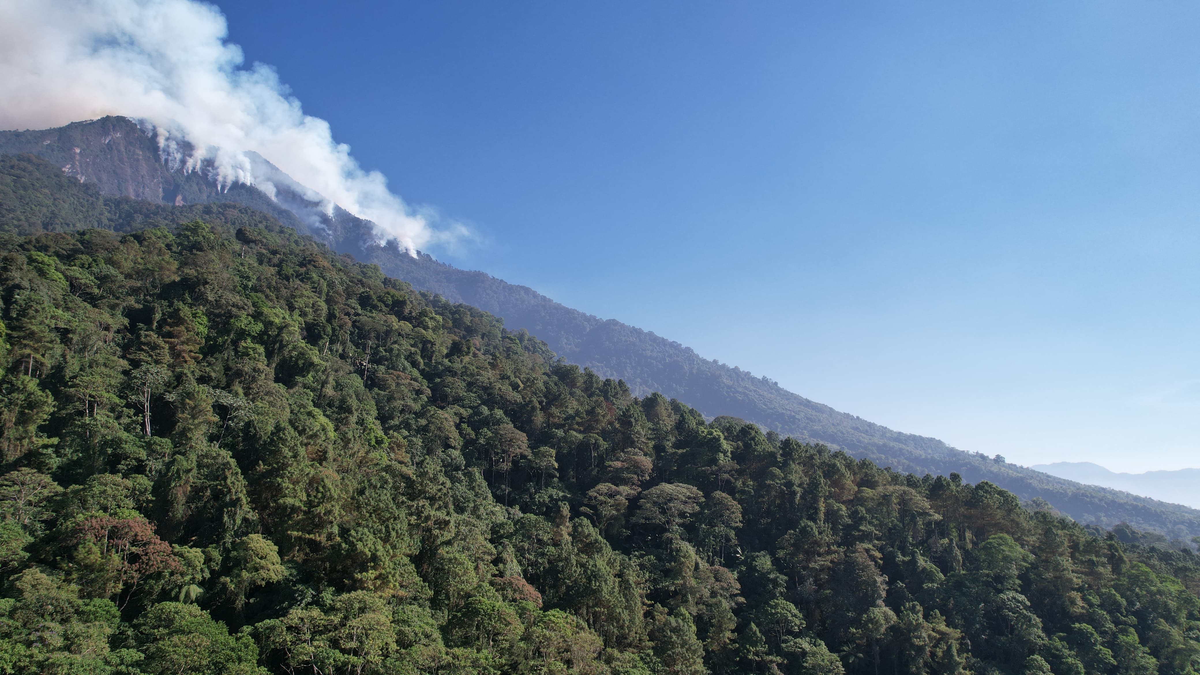 Incendio arrasa decenas de hectáreas en el cerro Pecul