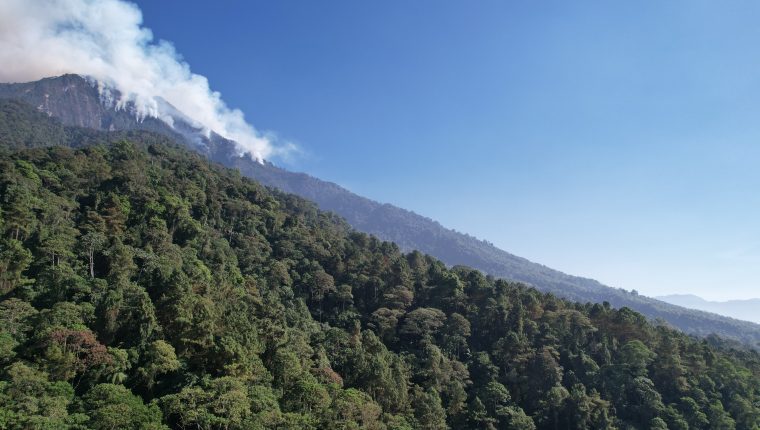 Grandes extensiones de áreas protegida del cerro Pecul, en Sololá, son afectadas por un incendio forestal. (Foto Prensa Libre: Conred)