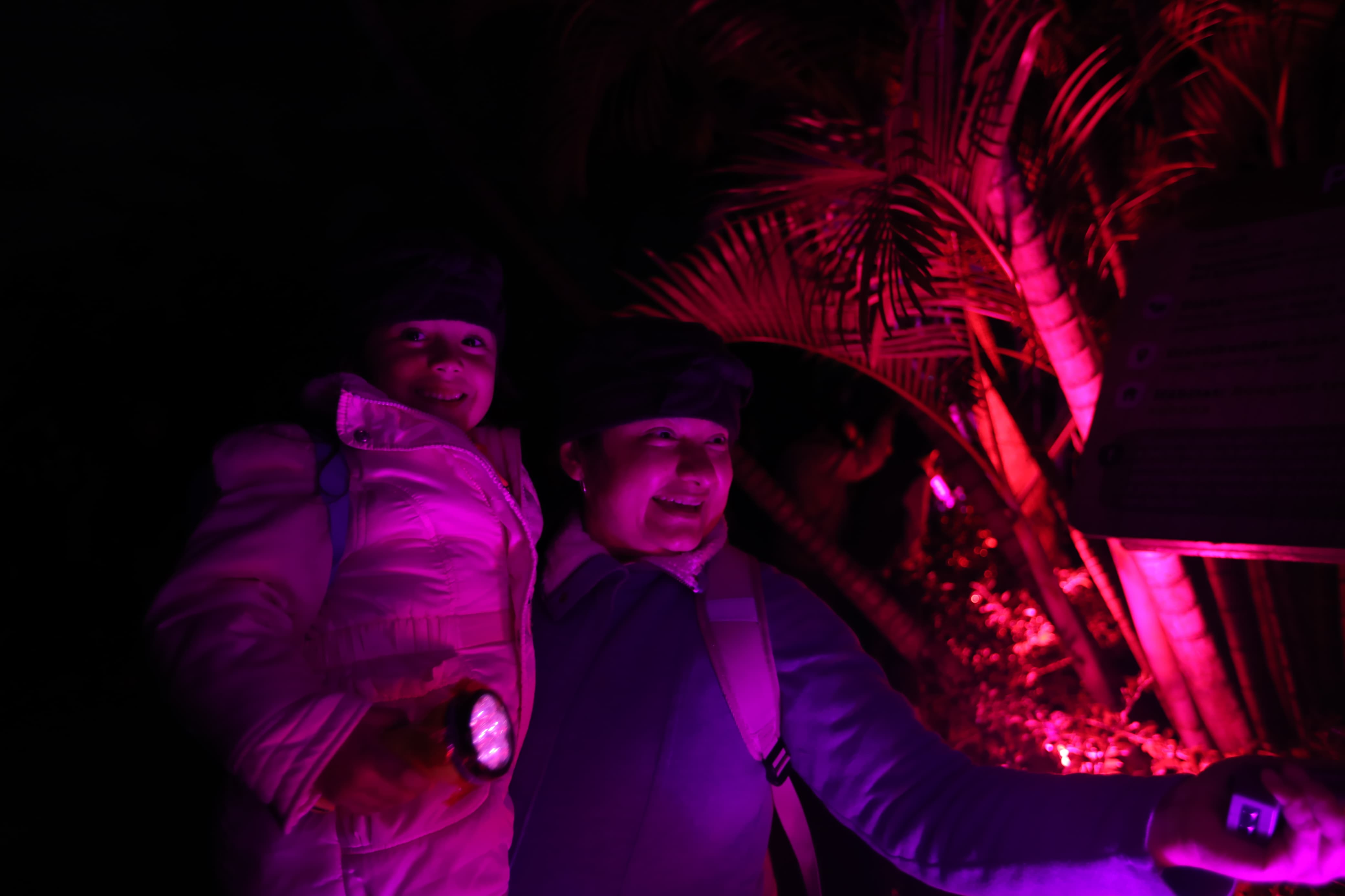 Zoológico La Aurora inicia celebración de su centenario con una espectacular ‘Noche de Luna’