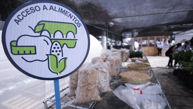 Autoridades de Gobierno participaron en n la presentación del segundo campamento de Nutrimóviles del programa Guatemaltecos por la Nutrición. (Foto Prensa Libre: Cortesía Sesan)