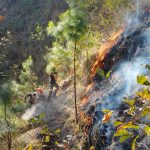 Brigadistas luchan contra el fuego por quinto día en el volcán de Agua