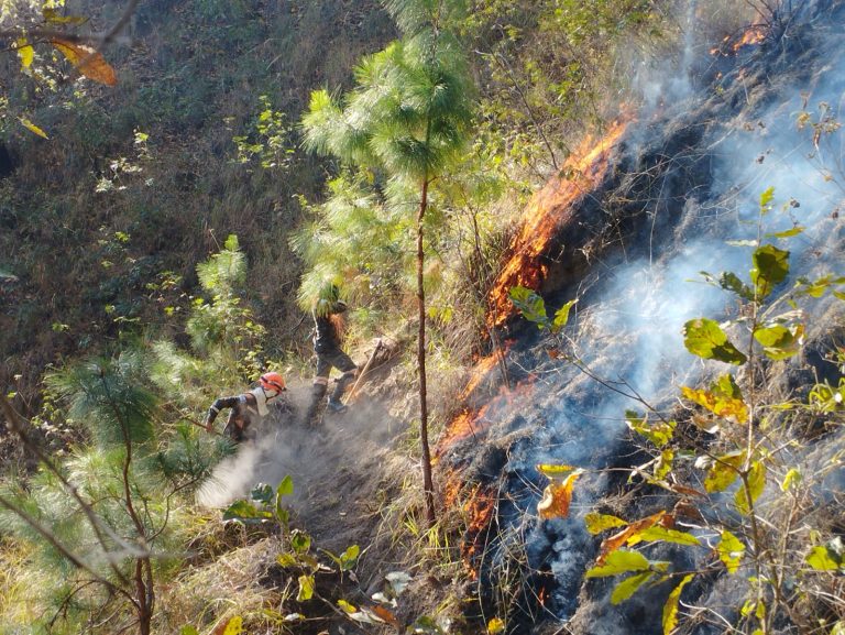 incendio forestal volcan de agua quinto dia domingo 25 febreero 2024 (5)