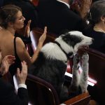 Messi, el perro protagonista de “Anatomía de una caída” en a noche de los Óscar