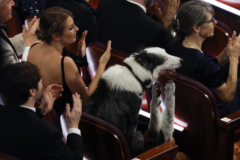Messi, el perro protagonista de “Anatomía de una caída” en a noche de los Óscar