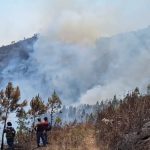 Biotopo del Quetzal está amenazado por voraz incendio