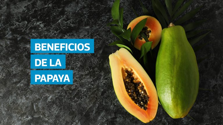 La papaya es mucho más que una fruta tropical: su alto contenido de fibra, antioxidantes y enzimas digestivas como la papaína la convierte en un aliado para la salud intestinal, cardiovascular, inmunológica e incluso cutánea. Consumirla en ayunas potencia sus beneficios, mejora la absorción de nutrientes y favorece el bienestar general.