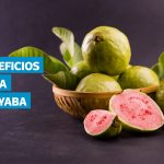 VIDEO | Hoja de guayaba: propiedades, beneficios y preparación de su té