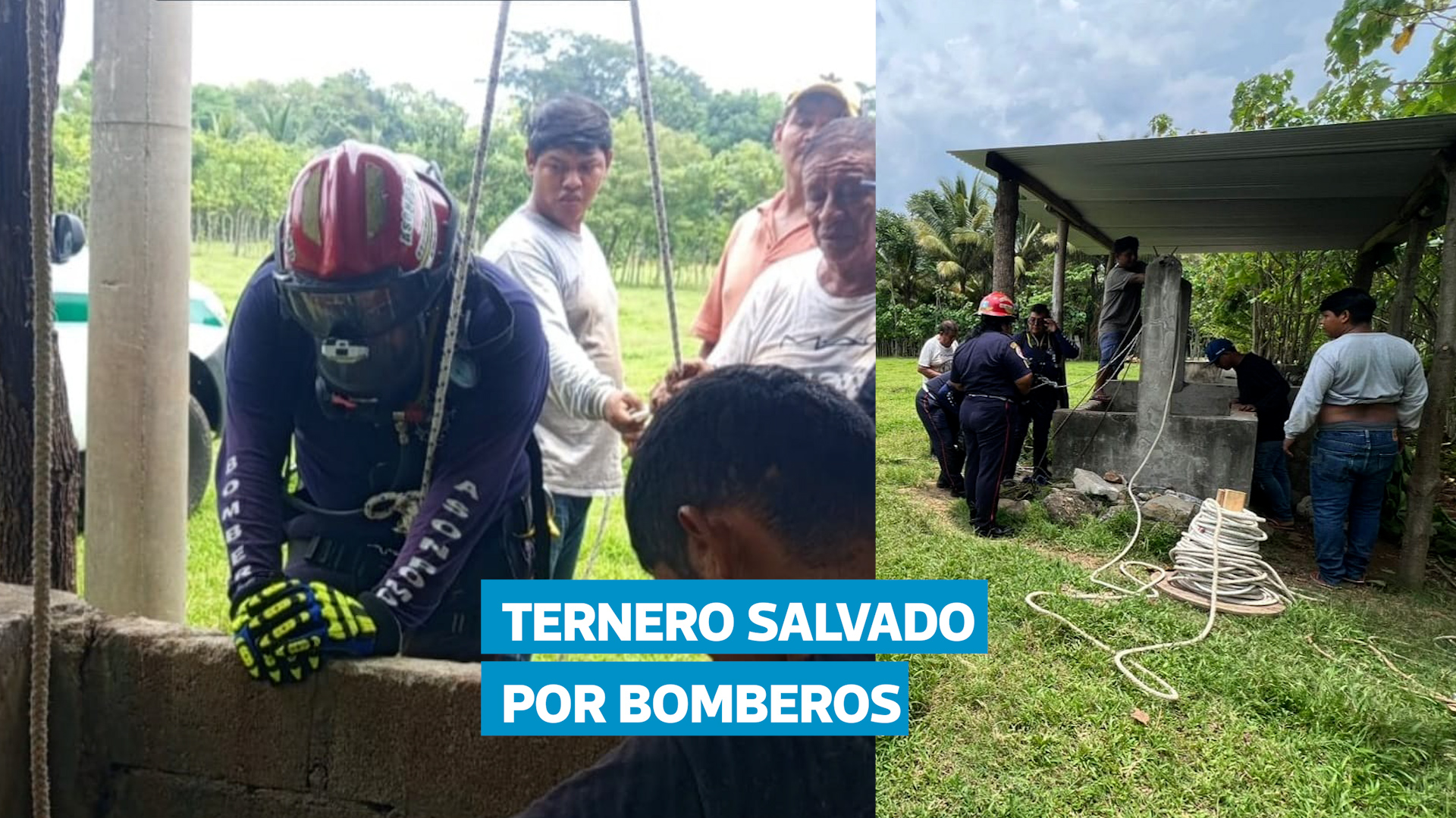 Rescatan a ternero que cayó en pozo de 10 metros en Catarina, San Marcos