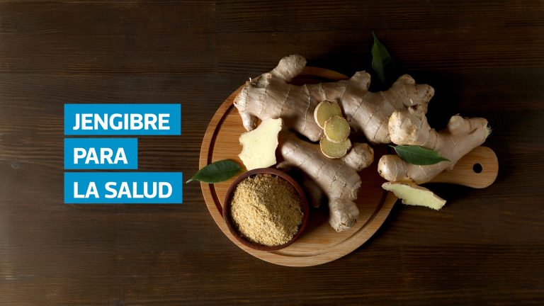 El jengibre, conocido científicamente como Zingiber officinale, es una raíz con gran valor nutricional y medicinal. Según la homeópata Ligia Barillas, este alimento posee propiedades antiinflamatorias, antioxidantes, digestivas y antibacterianas, lo que lo convierte en un recurso útil para aliviar náuseas, resfriados, calambres y dolores leves. Su consumo frecuente también puede favorecer la digestión, mejorar la concentración y ayudar a regular los niveles de glucosa en la sangre, por lo que es recomendado en dietas enfocadas en el bienestar general.