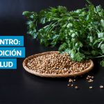 VIDEO | Cilantro en Guatemala: propiedades y usos del culantro europeo y el zamat