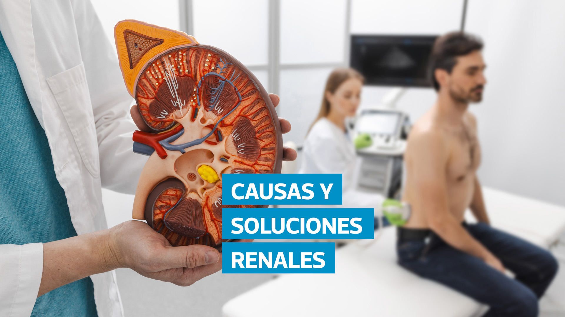 VIDEO | Dolor en los riñones: señales de alerta y consejos para cuidarlos