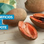 VIDEO | Los beneficios del zapote: la fruta guatemalteca que mejora la digestión y refuerza el sistema inmune
