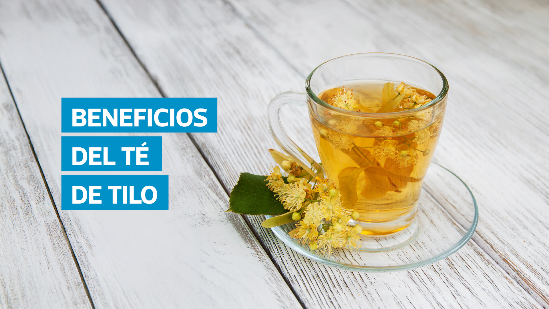 VIDEO | Beneficios del té de tilo: una infusión natural para calmar, sanar y dormir mejor