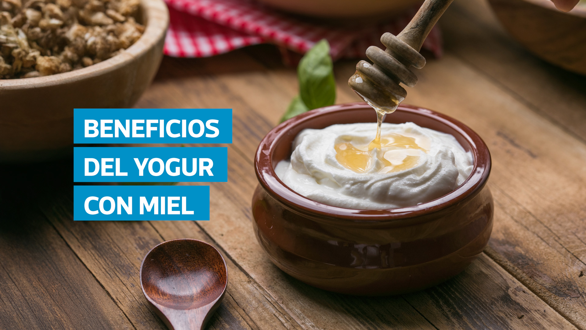 VIDEO | Yogur con miel: estudios confirman que mejora la digestión y fortalece el sistema inmune