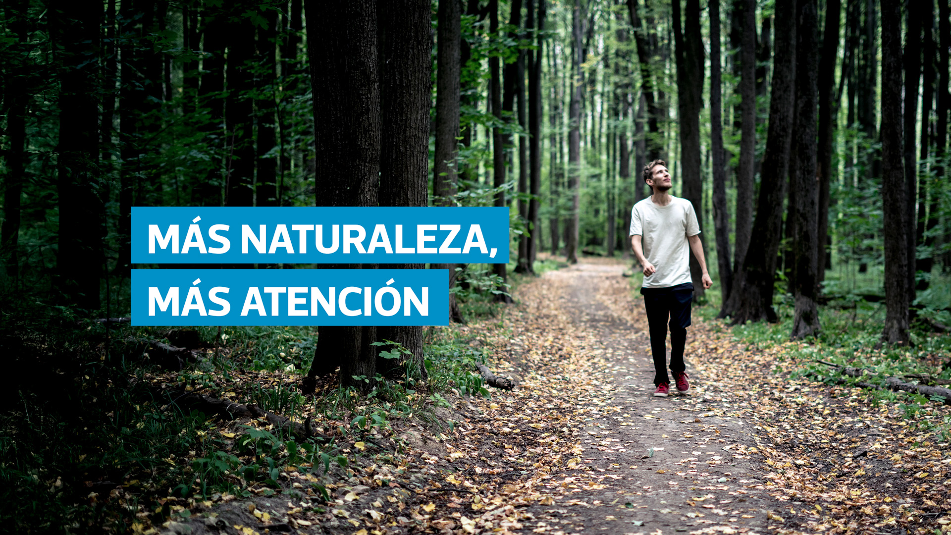 VIDEO | Así ayuda la naturaleza a potenciar tu atención y creatividad