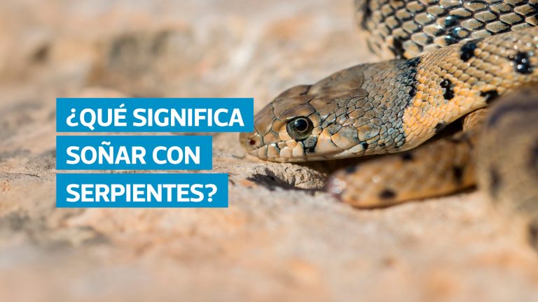 Aunque soñar con serpientes puede parecer perturbador, su interpretación depende del contexto. Para Freud son deseos reprimidos, mientras que Jung los vincula con el inconsciente colectivo. También pueden simbolizar cambios, advertencias o etapas de renovación.