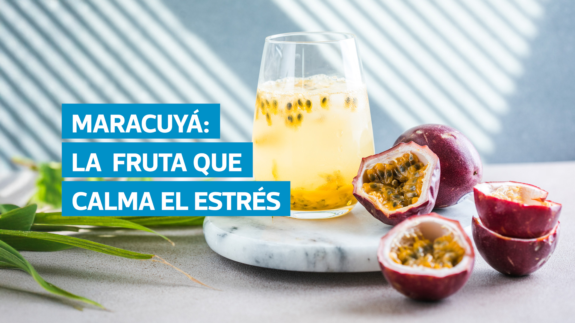 VIDEO | Maracuyá: propiedades, aportes nutricionales y cómo incluirlo en la dieta diaria