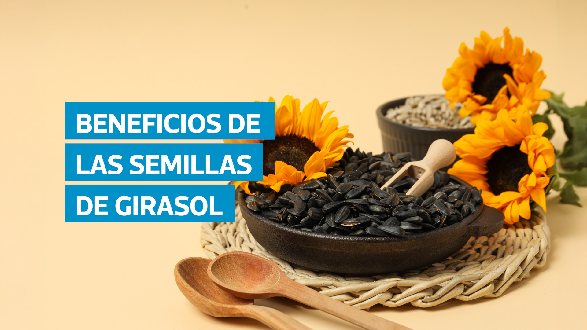 VIDEO | Para qué sirven las semillas de girasol y cuántas deberías comer al día