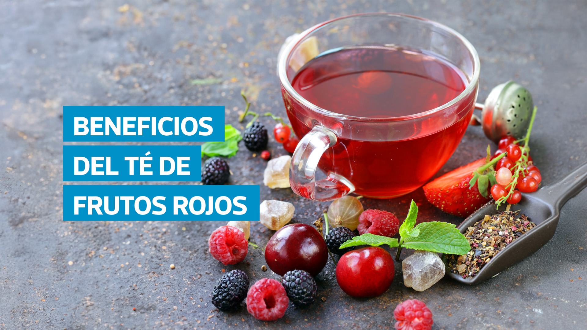 VIDEO | Por qué el té de frutos rojos mejora la salud: lo que dicen nutricionistas y especialistas
