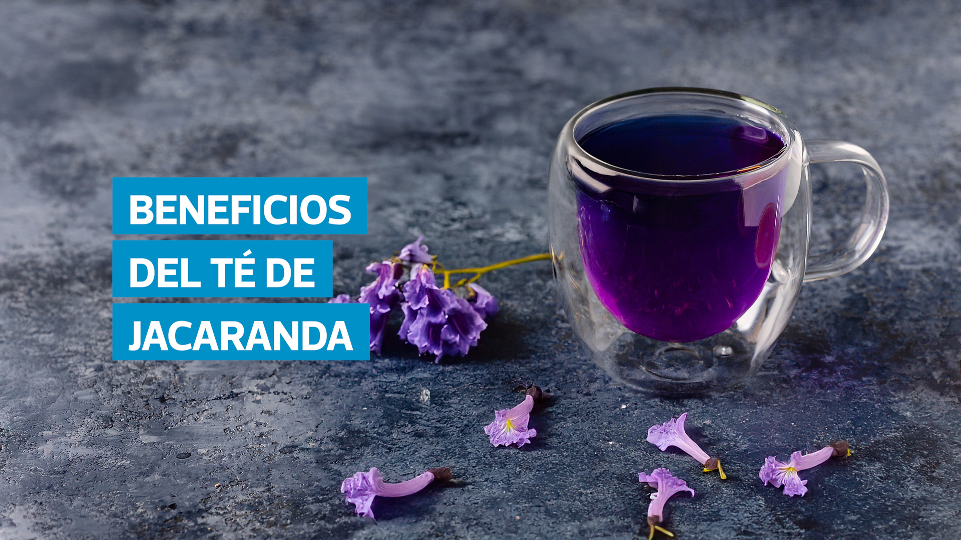 VIDEO | Cómo preparar el té de jacaranda y aprovechar sus beneficios naturales
